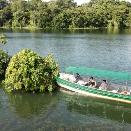 Monkey Island boat tour