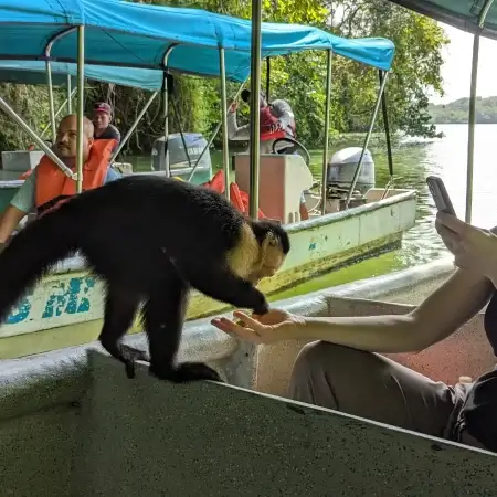 Monkey fed on boat