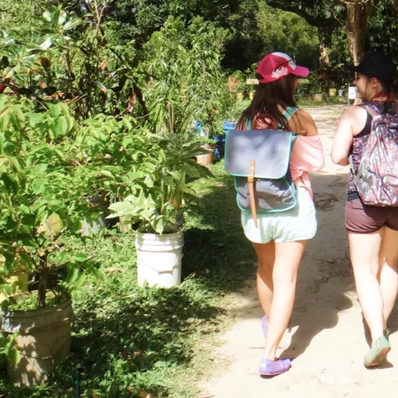 2 girls walk in the nature
