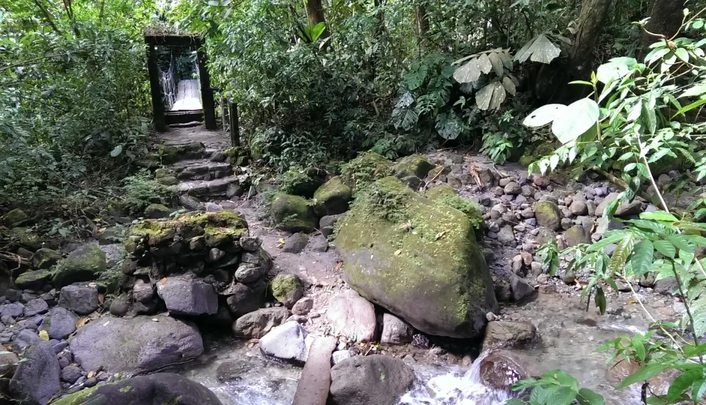 Panama Jungle pathway - El Valle Tour
