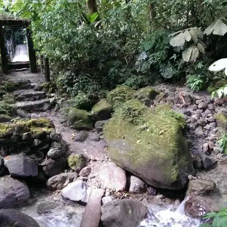 Panama Jungle pathway - El Valle Tour