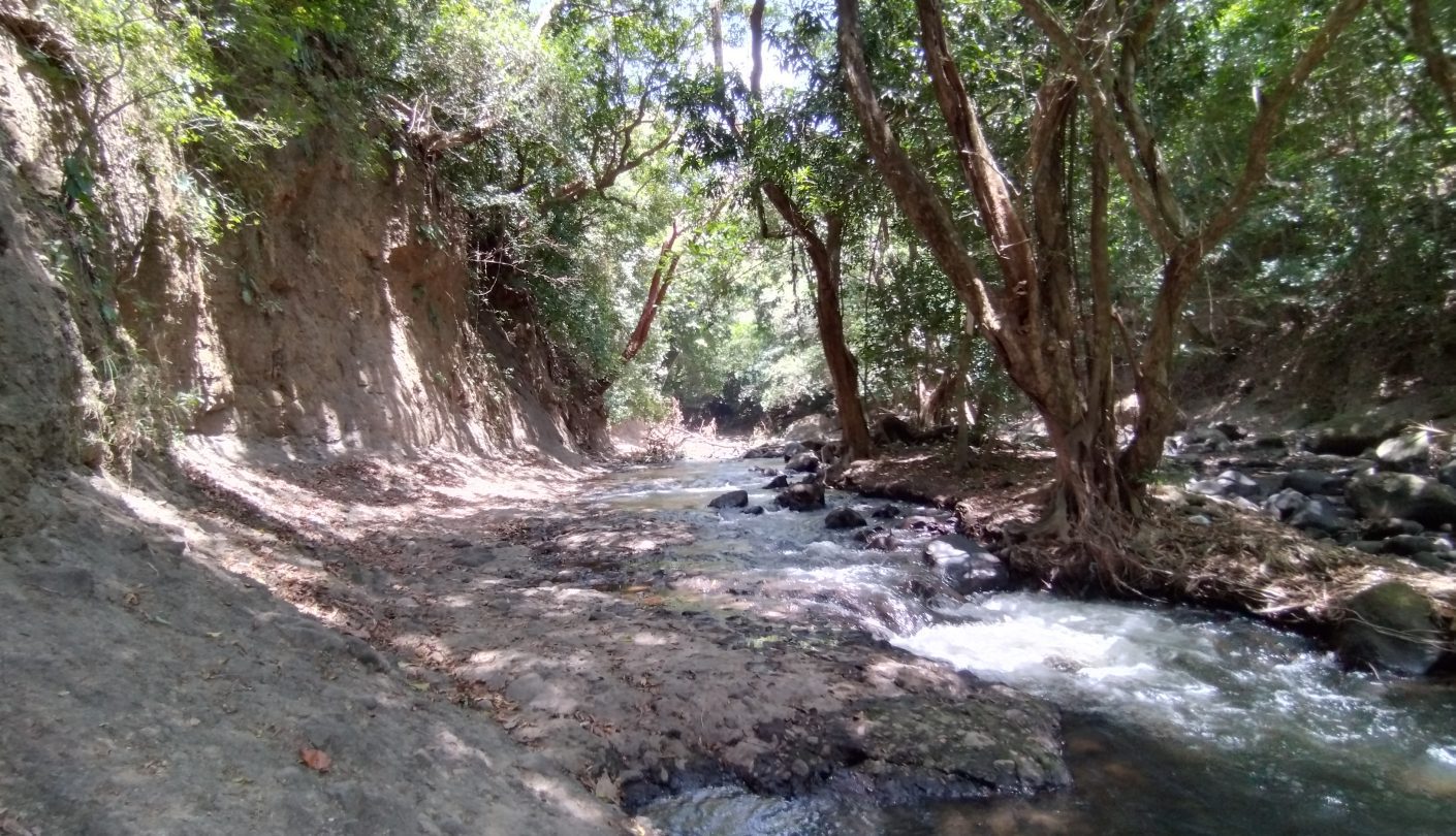 River in El Valle