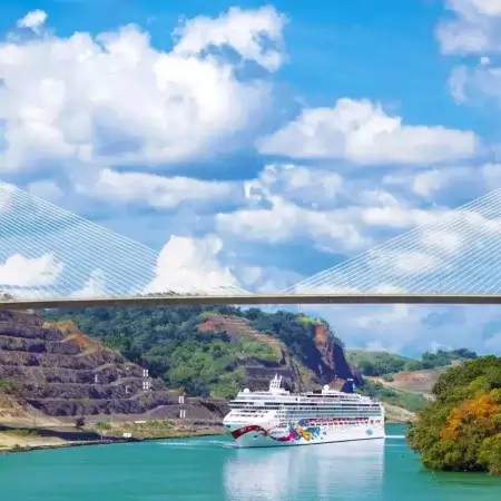 Centenario bridge with cruise ship