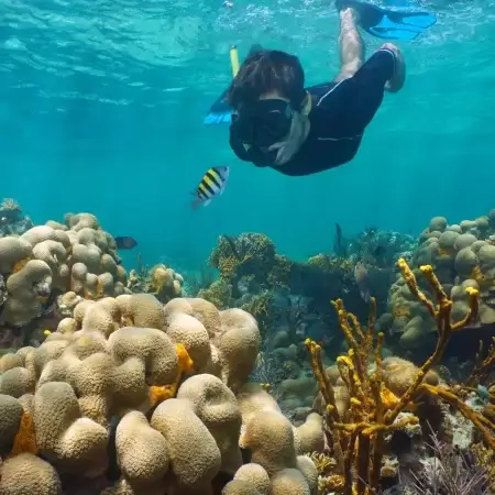 Snorkeling in the Caribbean waters of Panama