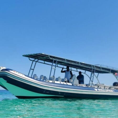 Whale watching boat