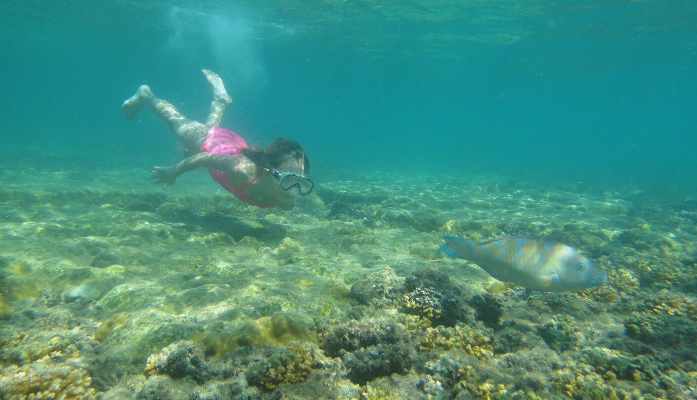 Isla Iguana Snorkeling