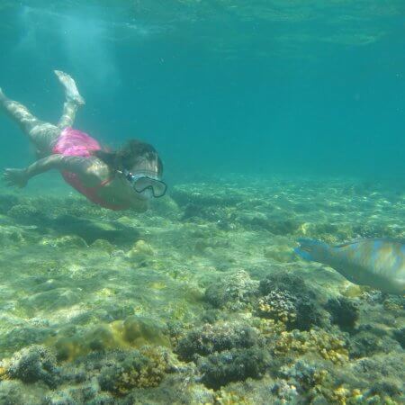 Isla Iguana Snorkeling