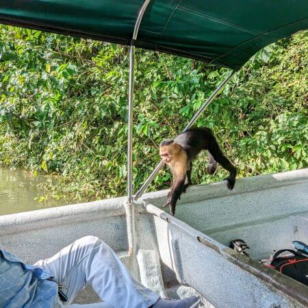 Monkey Island Tour